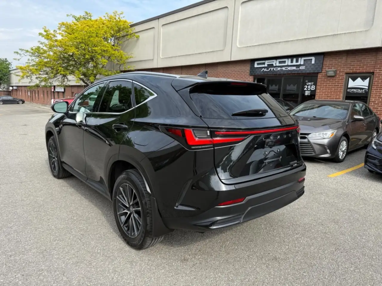 Lexus NX снимка Lexus NX