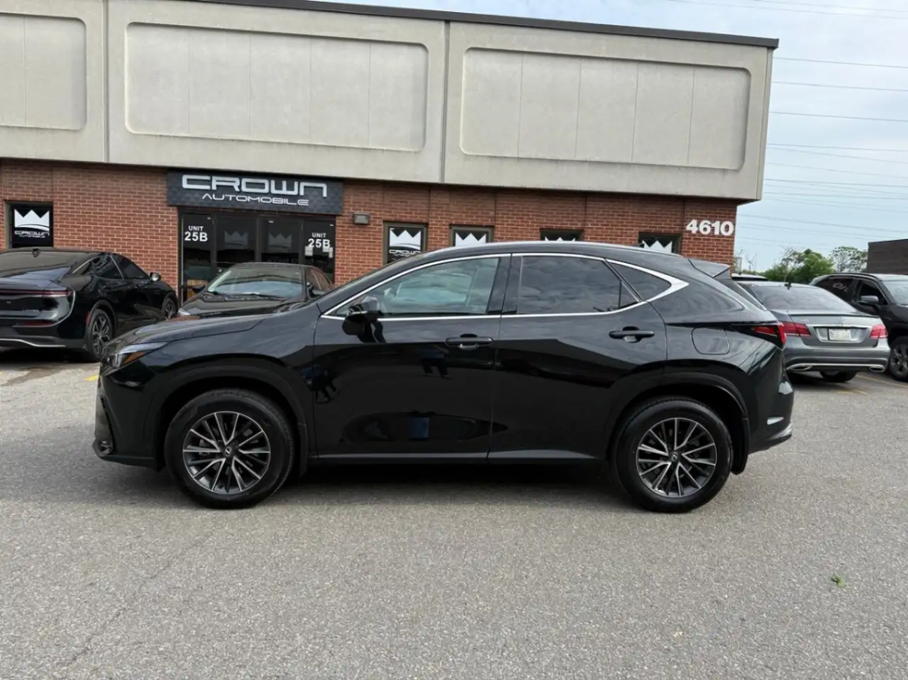 Lexus NX снимка Lexus NX