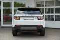 Land Rover Discovery Sport 2.0 TD4 Bi-Xenon Navi Kamera USB Blanc - thumbnail 5