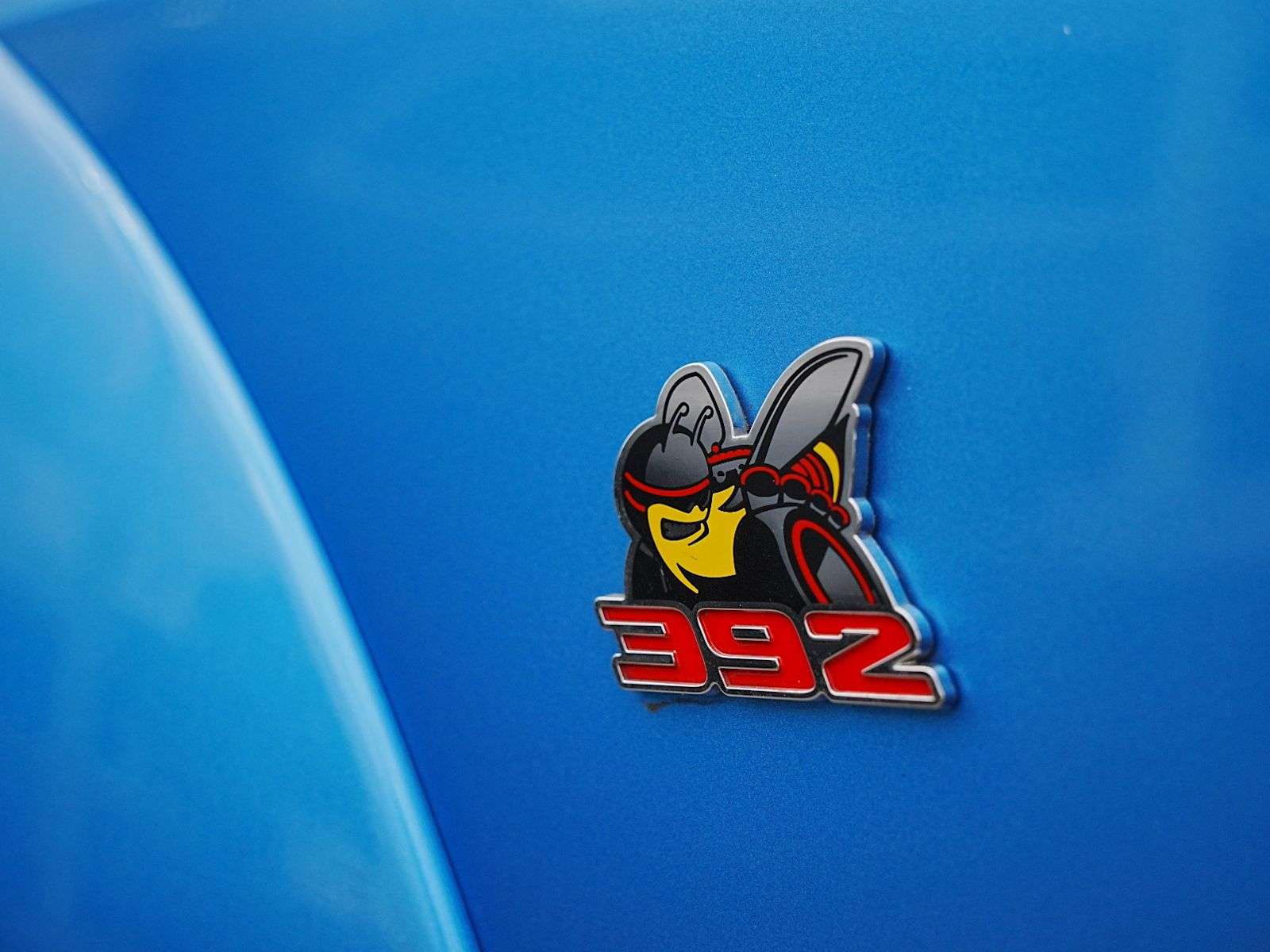 Image 11