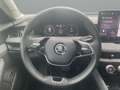 Skoda Superb 2.0 TDI 110kW Selection neues Modell CHEF-Auto Weiß - thumbnail 12