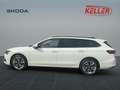 Skoda Superb 2.0 TDI 110kW Selection neues Modell CHEF-Auto Weiß - thumbnail 9