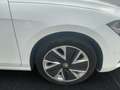 Skoda Superb 2.0 TDI 110kW Selection neues Modell CHEF-Auto Weiß - thumbnail 5
