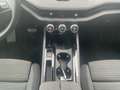 Skoda Superb 2.0 TDI 110kW Selection neues Modell CHEF-Auto Weiß - thumbnail 14