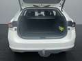 Skoda Superb 2.0 TDI 110kW Selection neues Modell CHEF-Auto Weiß - thumbnail 19