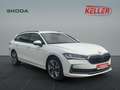 Skoda Superb 2.0 TDI 110kW Selection neues Modell CHEF-Auto Weiß - thumbnail 3