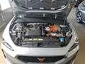 CUPRA Leon SP 1.4 TSI e-Hybrid Tempo*Nav*PDC*RFK*SH Silber - thumbnail 5