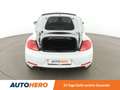 Volkswagen Beetle 2.0 TDI Cup*PDC*SHZ*TEMPO* Weiß - thumbnail 16