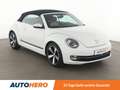 Volkswagen Beetle 2.0 TDI Cup*PDC*SHZ*TEMPO* Weiß - thumbnail 8