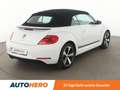 Volkswagen Beetle 2.0 TDI Cup*PDC*SHZ*TEMPO* Weiß - thumbnail 6