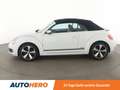 Volkswagen Beetle 2.0 TDI Cup*PDC*SHZ*TEMPO* Weiß - thumbnail 3