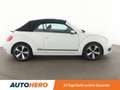 Volkswagen Beetle 2.0 TDI Cup*PDC*SHZ*TEMPO* Weiß - thumbnail 7