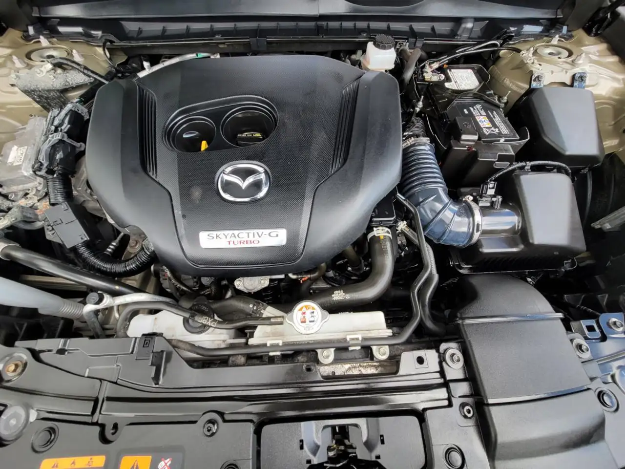 Mazda CX-50 photo Mazda CX-50