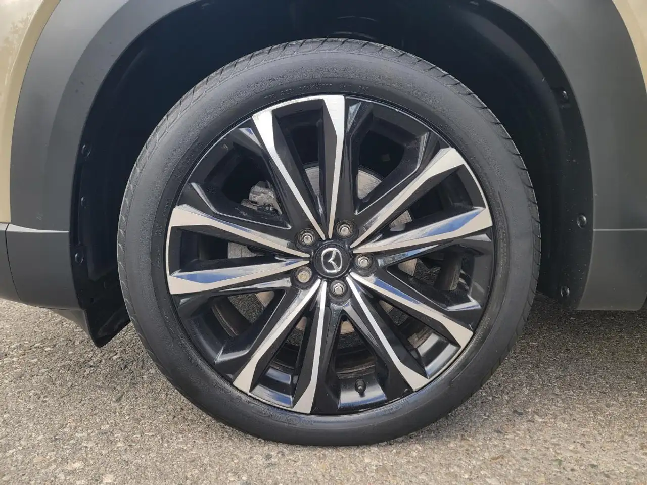 Mazda CX-50 photo Mazda CX-50