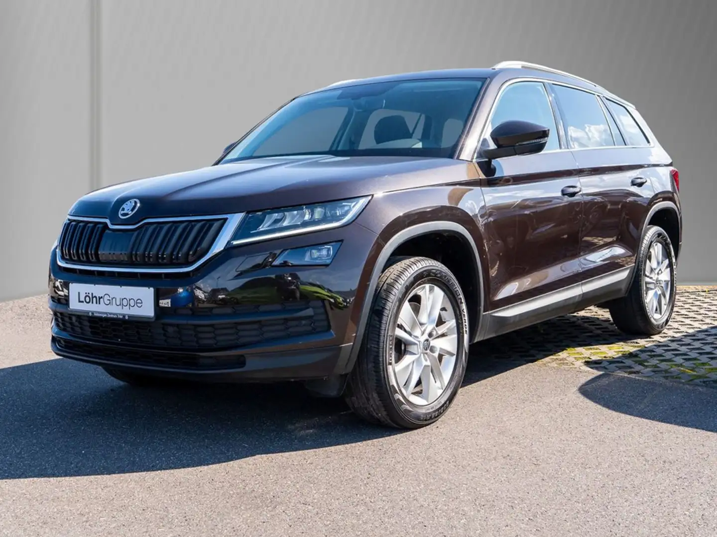 Skoda Kodiaq 2.0 TSI DSG 4x4 Style AHK, Rear-View Braun - 2