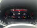 SEAT Arona FR 1.0 TSI DSG Grau - thumbnail 10