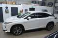 Lexus RX 450h Hybrid Executive Line*Leder*PremiumNavi Weiß - thumbnail 4