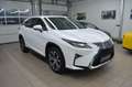 Lexus RX 450h Hybrid Executive Line*Leder*PremiumNavi Weiß - thumbnail 3