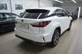Lexus RX 450h Hybrid Executive Line*Leder*PremiumNavi Weiß - thumbnail 8