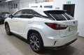 Lexus RX 450h Hybrid Executive Line*Leder*PremiumNavi Weiß - thumbnail 6