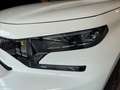 Citroen C3 Aircross Turbo 100 SS 6-Gang-Manuell Plus Kamera LED Weiß - thumbnail 11