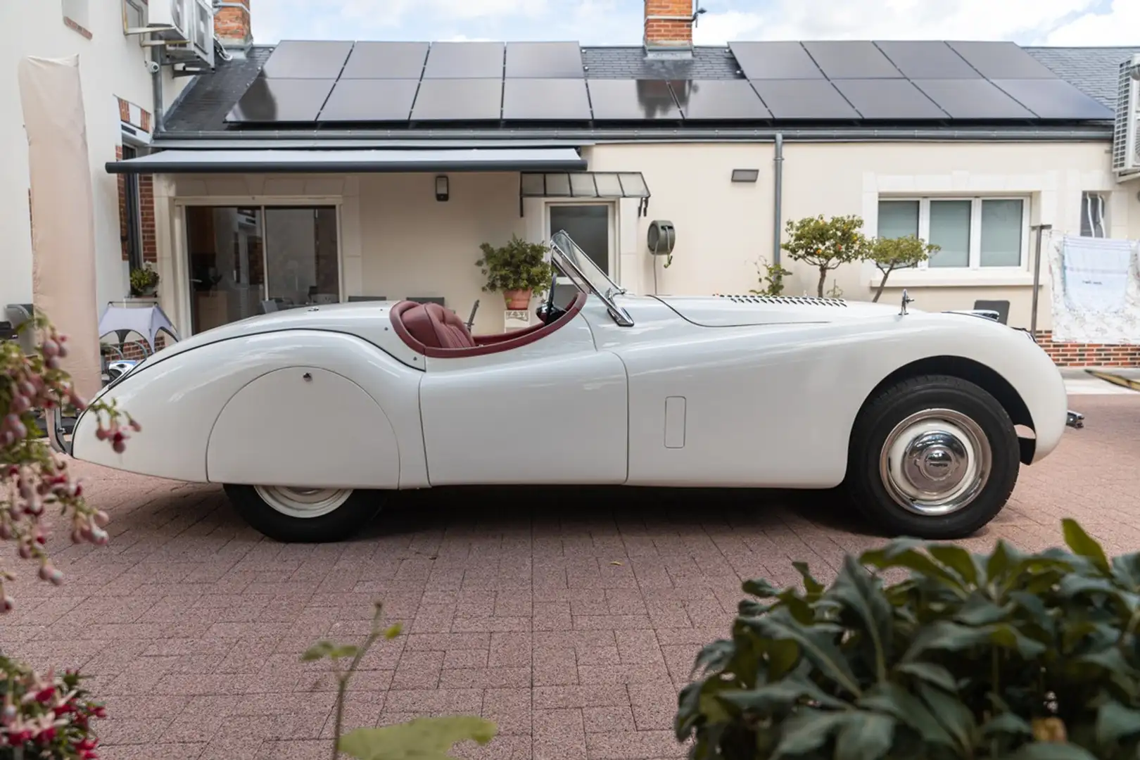 Jaguar XK 120 - 1953 - Restaurée - 400km moteur refait à neuf Weiß - 2
