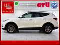 Hyundai SANTA FE Santa Fe Premium 4WD / 7 Sitze / Voll / Facelift Белый - thumbnail 1