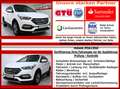 Hyundai SANTA FE Santa Fe Premium 4WD / 7 Sitze / Voll / Facelift Белый - thumbnail 3