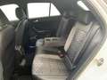 Volkswagen T-Roc 2.0 TSI DSG R-Line 4Motion AHK ACC Kamera Weiß - thumbnail 11