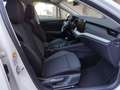 Skoda Octavia Selection TSI Weiß - thumbnail 7