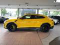 Lamborghini Urus CARBON/NIGHTV/PANORA/BANG+OLUFSEN/TV/4SITZ Amarillo - thumbnail 4
