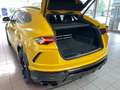 Lamborghini Urus CARBON/NIGHTV/PANORA/BANG+OLUFSEN/TV/4SITZ Amarillo - thumbnail 13