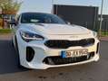 Kia Stinger Stinger 3.3 T-GDI AWD OPF GT Weiß - thumbnail 1