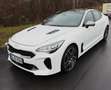 Kia Stinger Stinger 3.3 T-GDI AWD OPF GT Weiß - thumbnail 2