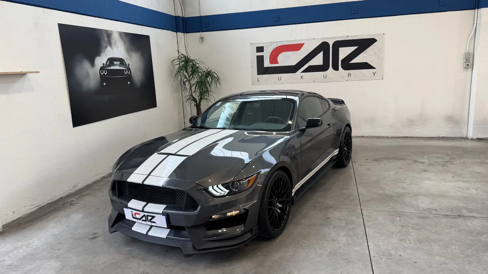 Ford Mustang Fastback 3.7L V6 305cv auto - 1