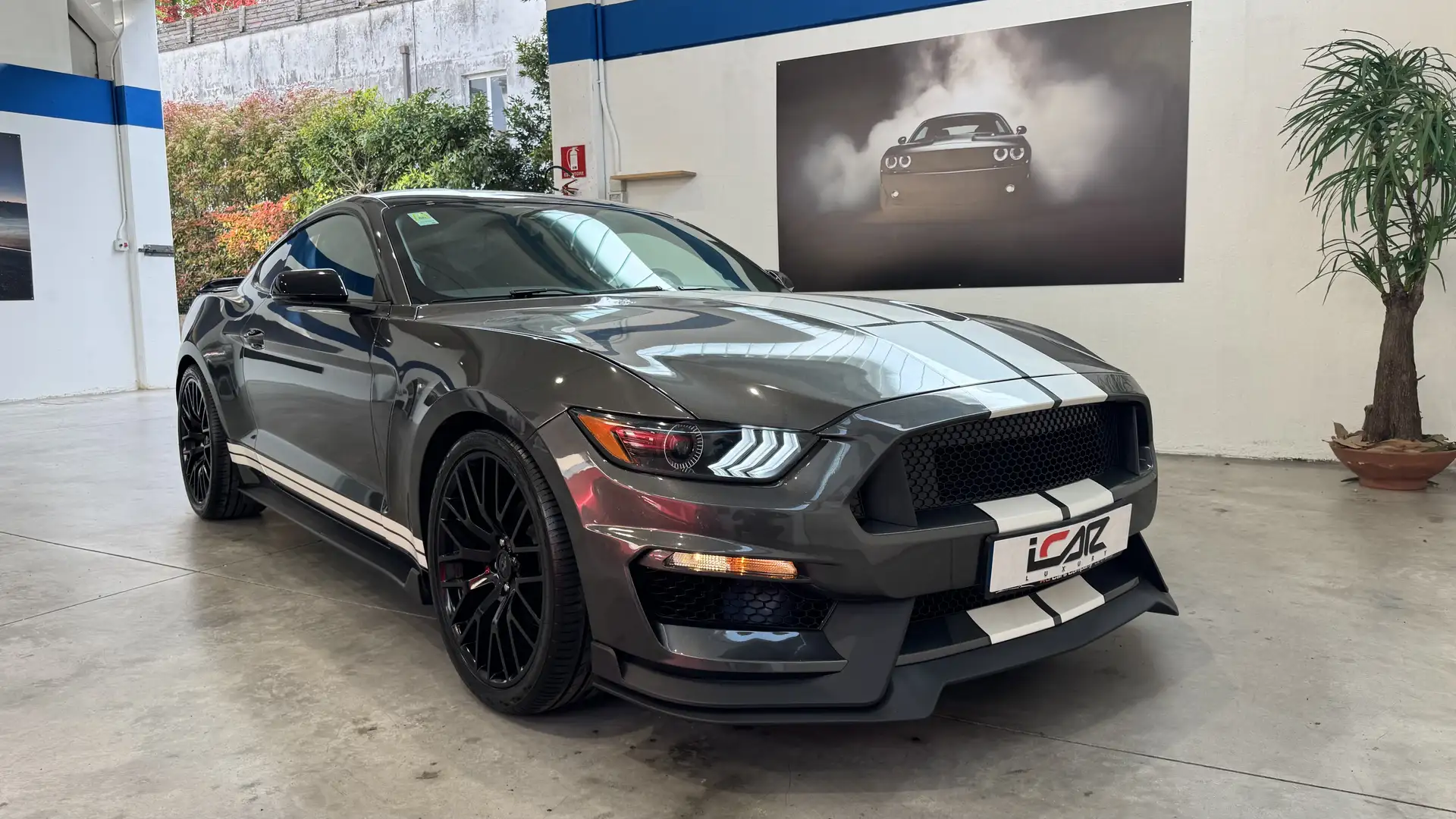 Ford Mustang Fastback 3.7L V6 305cv auto - 2