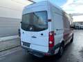 Volkswagen Crafter 35 mittel L2H2 Hochdach /Scheckheft/Aus 1Hand Rot - thumbnail 3