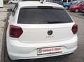 Volkswagen Polo 1.0 TSI DSG OPF Comfortline Blanc - thumbnail 12