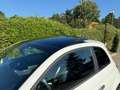 Fiat 500 1.2 S NEOPATENTATI - TETTO PAN. - BT - CLIMA - 16 Blanc - thumbnail 8