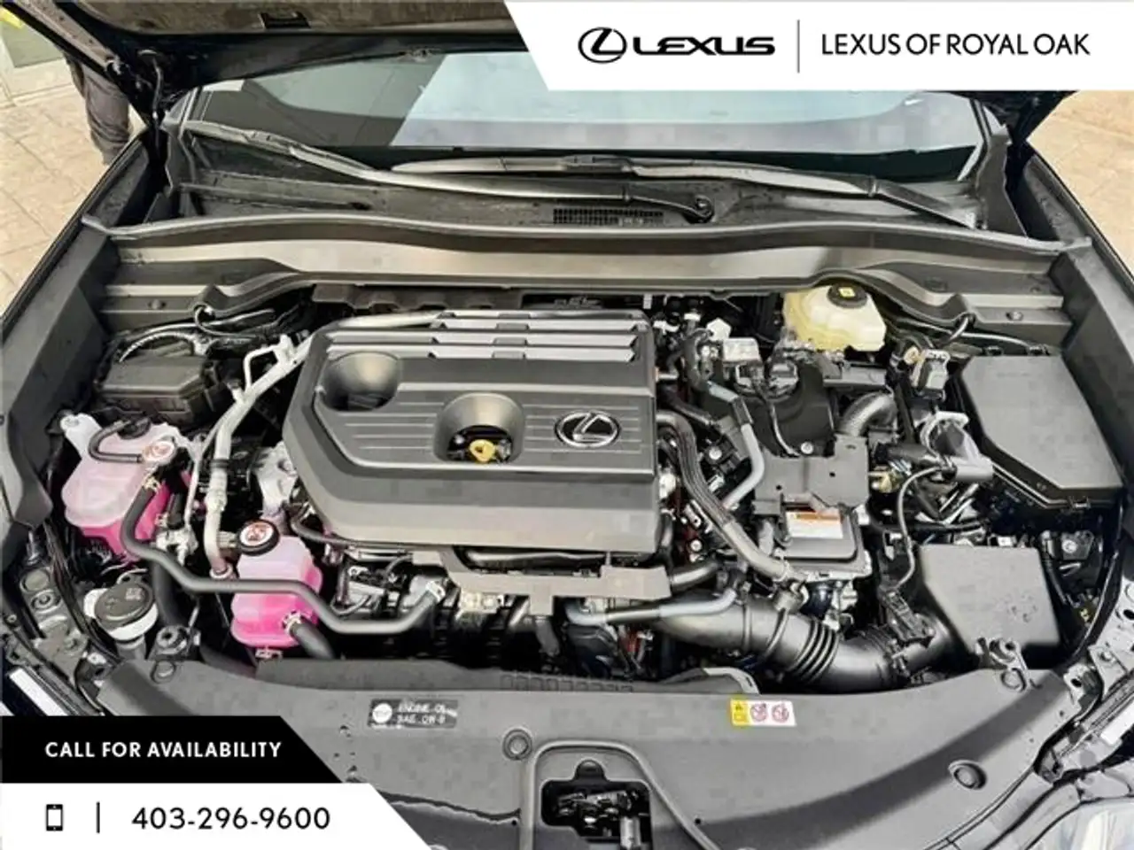 Lexus UX photo Lexus UX