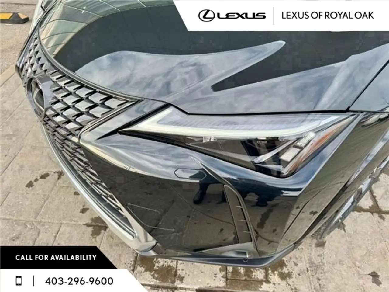 Lexus UX photo Lexus UX