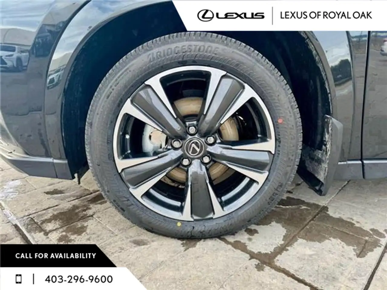 Lexus UX photo Lexus UX