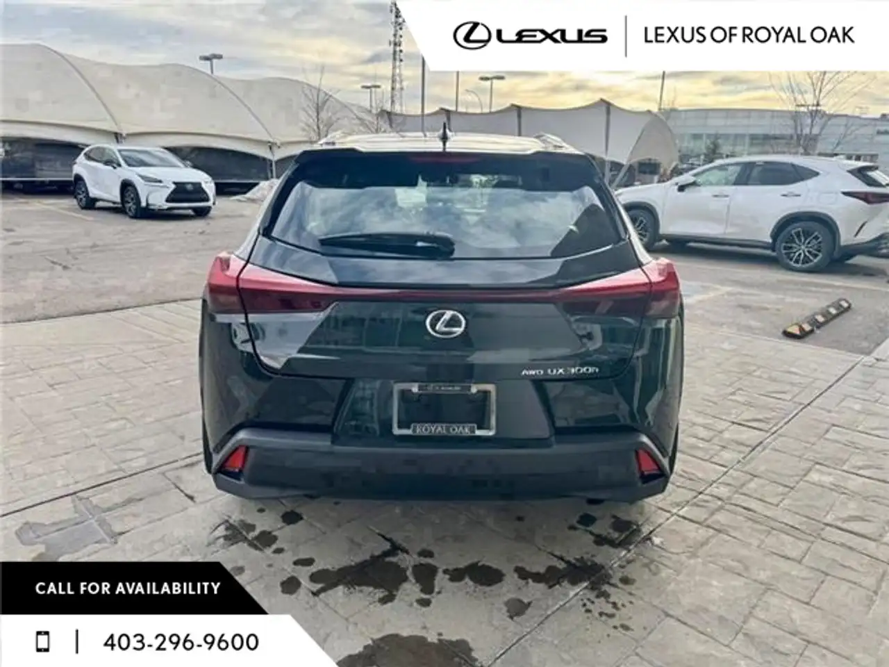 Lexus UX photo Lexus UX