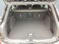 Ford Focus Turnier 1.0 EcoBoost Automatik Matrix-LED Schwarz - thumbnail 14