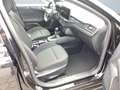 Ford Focus Turnier 1.0 EcoBoost Automatik Matrix-LED Schwarz - thumbnail 10