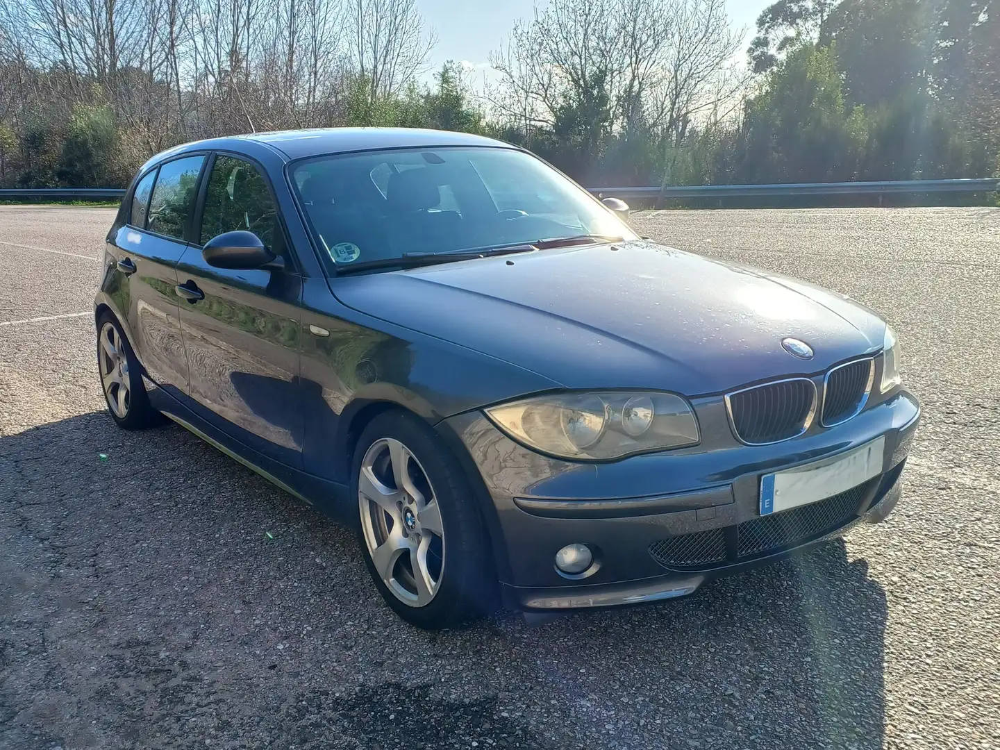 BMW 116 116i Gris - 2