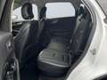 Ford Edge /AUTOMATIK/NAVI/XENON/KAMERA/EURO6/ Weiß - thumbnail 10