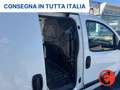 Fiat Fiorino 1.3 MJT 95C CARGO SX 6D-PORTAPACCHI-CRUISE-SENSORI Bianco - thumbnail 24