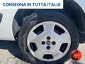Fiat Fiorino 1.3 MJT 95C CARGO SX 6D-PORTAPACCHI-CRUISE-SENSORI Bianco - thumbnail 23