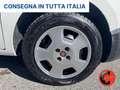 Fiat Fiorino 1.3 MJT 95C CARGO SX 6D-PORTAPACCHI-CRUISE-SENSORI Bianco - thumbnail 18